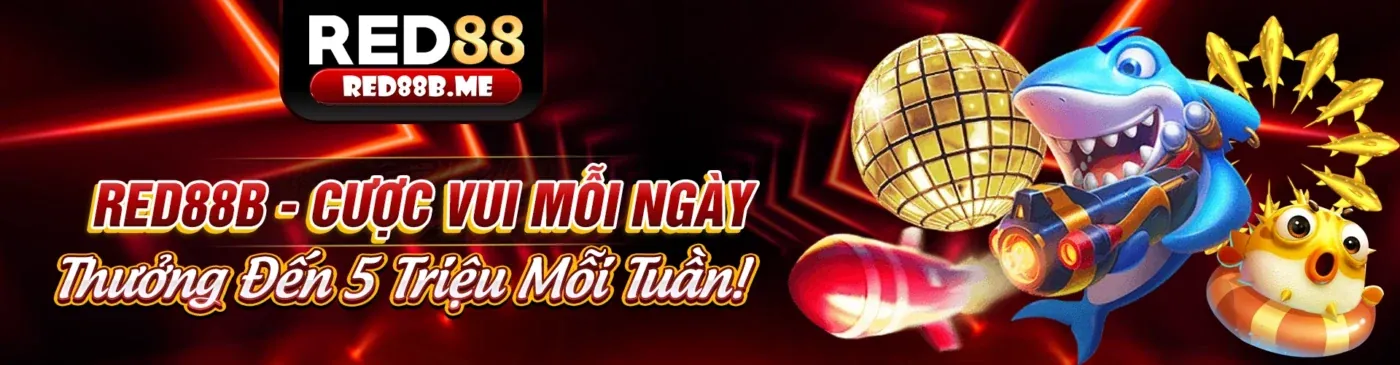 Hình ảnh minh họa chính sách cookie của 88acb